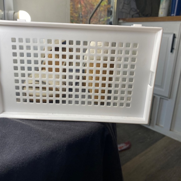 Tom Wedges - Picture 12 of 12